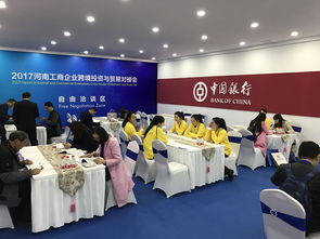 開放的河南歡迎您，專業翻譯與代理服務助您無憂前行